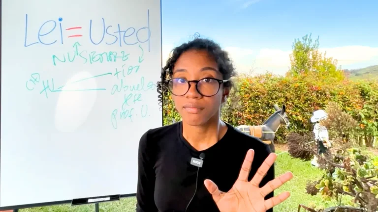 Lee más sobre el artículo Dos casos en los que el Lei italiano no corresponde al Usted