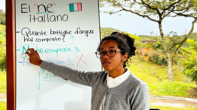 Lee más sobre el artículo La clave para entender uno de los usos más frecuentes del “ne”